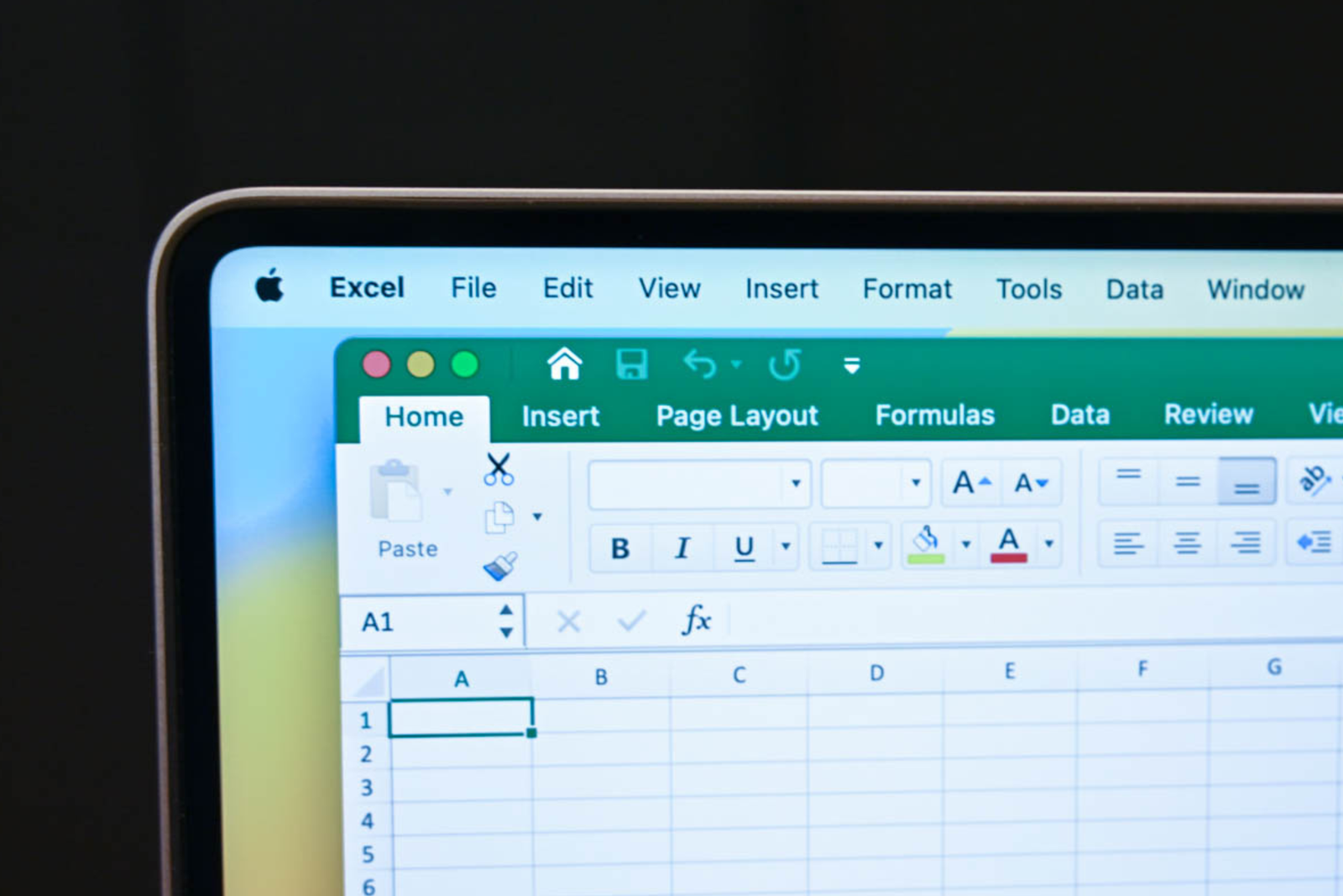 Excel paintbrush button