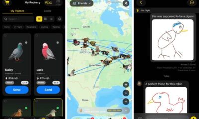 Roost slow-cial app