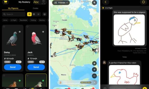 Roost slow-cial app