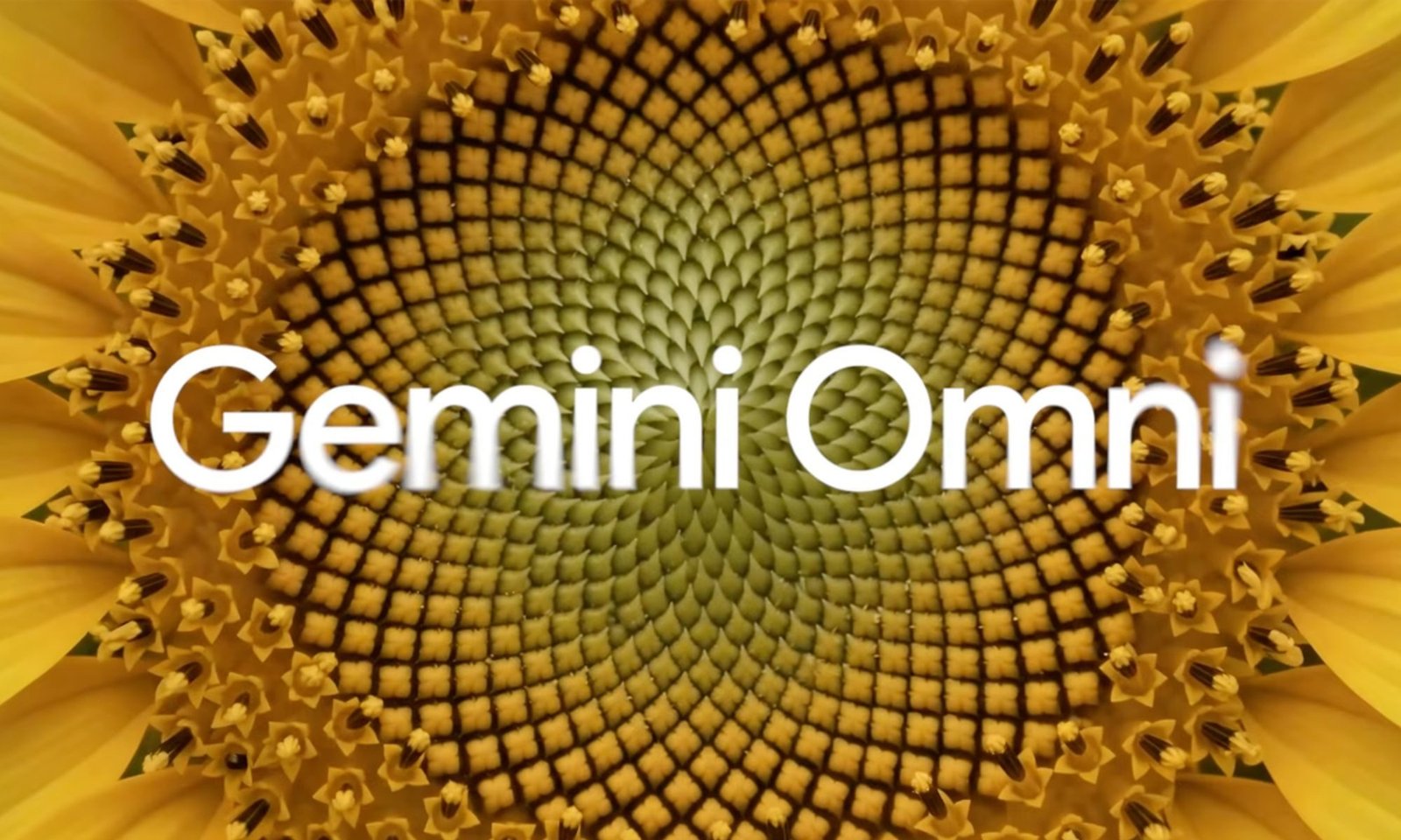Gemini Omni 1.1 Flash