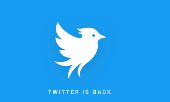 Twitter.now social network