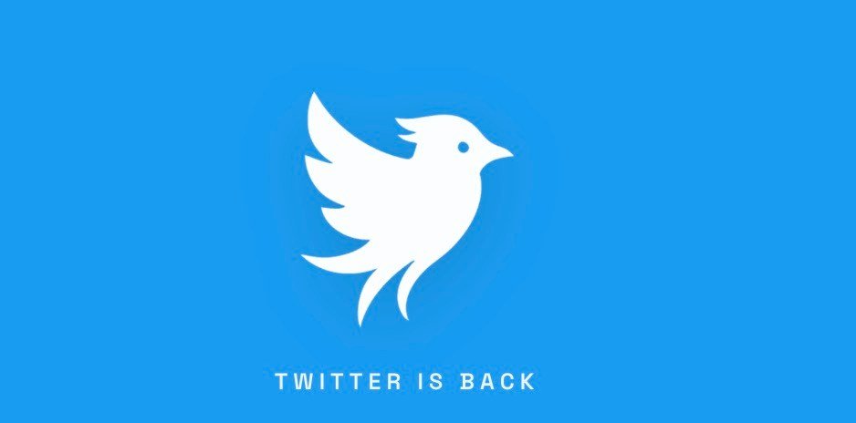 Twitter.now social network