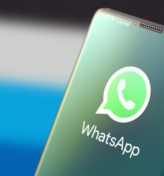 WhatsApp account security