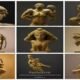 movies inspired by Greek mythology