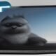 Ollama raises $65M