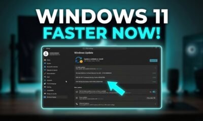 Windows 11 August 2026 update
