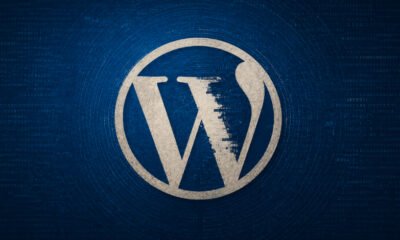WordPress plugin flaws