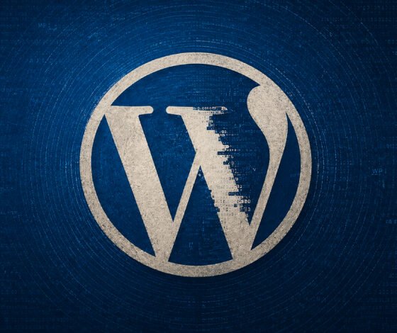 WordPress plugin flaws