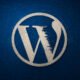 WordPress plugin flaws