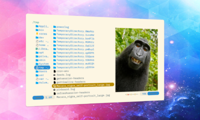 interactive file previews
