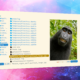 interactive file previews