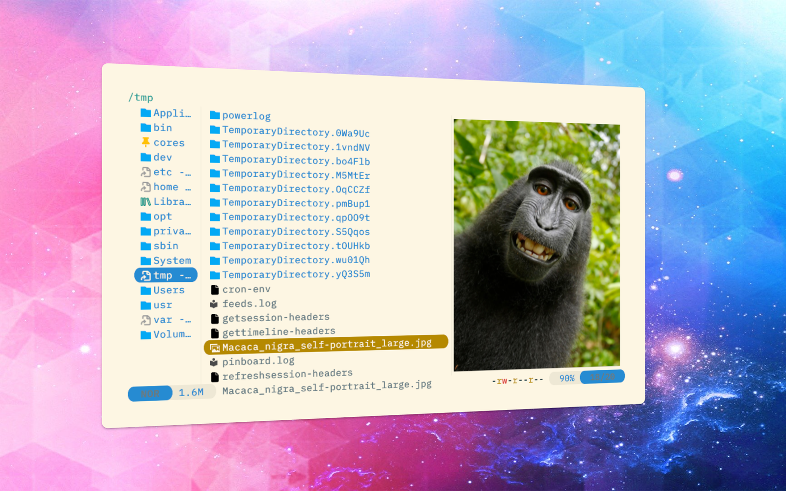 interactive file previews